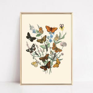 Vintage Nursery Wall Art, Butterfly Print, Botanical Wall Art, Floral Wall Art, Vintage Poster, Kids Room Decor, Butterfly Decor