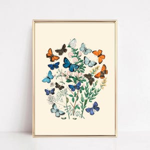 Vintage Nursery Wall Art, Butterfly Print, Botanical Wall Art, Floral Wall Art, Vintage Poster, Kids Room Decor, Butterfly Decor