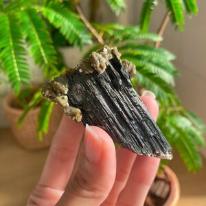 Special Schorl with Muscavite (Mica) and UV fluorescing Hyalite from Erongo