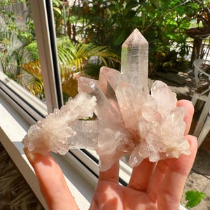 Pode incluir: Um aglomerado de cristais de quartzo transparente com um tom rosa pálido. Os cristais são segurados em uma mão, com uma janela e vegetação ao fundo. A formação de quartzo tem um ponto central grande.