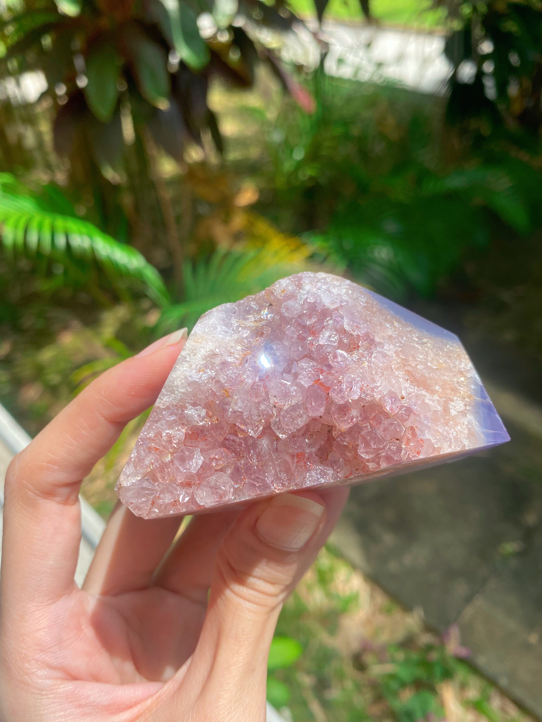 【期間限定出品】激レア パキスタン産グインデル ゴールデンヒーラー Golden healer enhydro - Etsy 日本