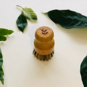 Bamboo Pot Brush - Washing Up Brush - Vegetable Scrubber Brush - Utensil Pot - Eco-friendly - Vegan -