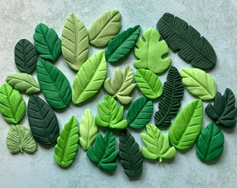 Può includere: Una collezione di 20 forme di foglie verdi realizzate in pasta polimerica. Le foglie sono di diverse dimensioni e forme, alcune hanno una texture più realistica e altre sono più stilizzate.
