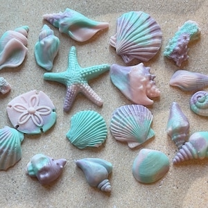 May include: A collection of 17 pastel-coloured seashells and starfish, including a sand dollar, in various shapes and sizes. The seashells are a mix of pink, purple, and blue.