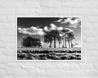 Black White Tree Print – Dramatic Monochrome Forest Wall Art – High Contrast Nature Photo