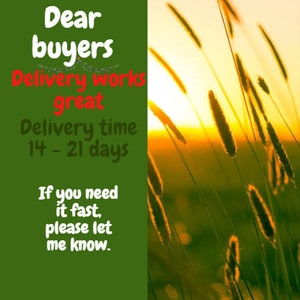 May include: A green background with white text that reads "Dear buyers Delivery works great Delivery time 14-21 days If you need it fast, please let me know." The background is a blurry image of tall grass with a sunset in the background.