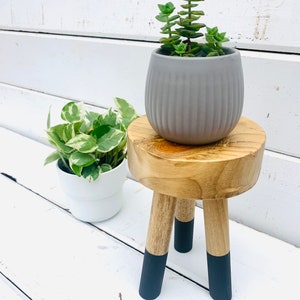 Small Wood Color Blocked Plant Stand Riser Stand Wood Stand Pedestal ...