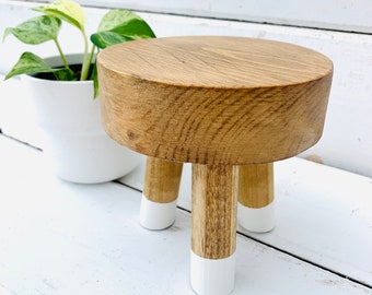 Mini Wood Color Blocked Plant Stand | Riser | Stand | Wood Stand | Pedestal | Dip Dyed Legs