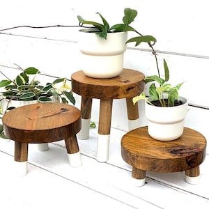 Mini stool 2024 for plant