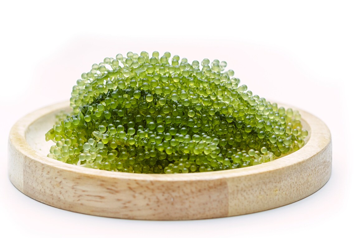 Sea Grapes 200g 2X100g /3.53oz. Vietnam's products UK Etsy