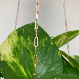Paperclip chain plant hanger(1) choice of finish. 32&quot; delicate but strong, cool & chic minimalist modern décor - indoor only -