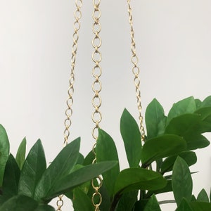 May include: Three gold chains hang from the ceiling, with green leafy plants growing below them. The chains are made of linked rings.