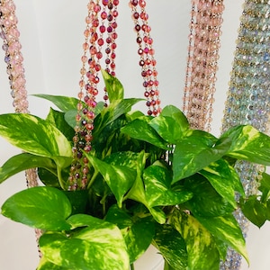 plantalier color beaded plant hangers - comes in a rainbow of colors - hand dyed -custom colors available