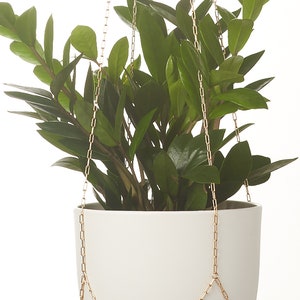 Puede incluir: Una maceta colgante de cerámica blanca con una planta ZZ y una cadena dorada. La planta ZZ tiene hojas de color verde oscuro. La palabra "gold" está impresa en la esquina inferior izquierda.