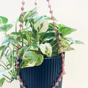 May include: A hanging planter with a trailing plant and a pink beaded necklace. The dark blue planter has vertical ridges. The plant has green and white variegated leaves. The necklace has pink beads and gold-colored chain.