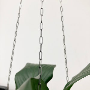 May include: Two silver chains hang from the ceiling, with a green plant in the background.