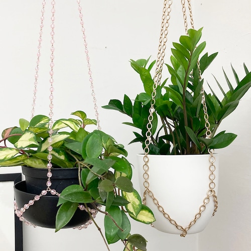 peace lilies plants Peace Lily