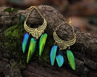 Bellydancer golden filigree earrings with beetle wings - entomology jewel insect cabinet of curiosities boho oriental