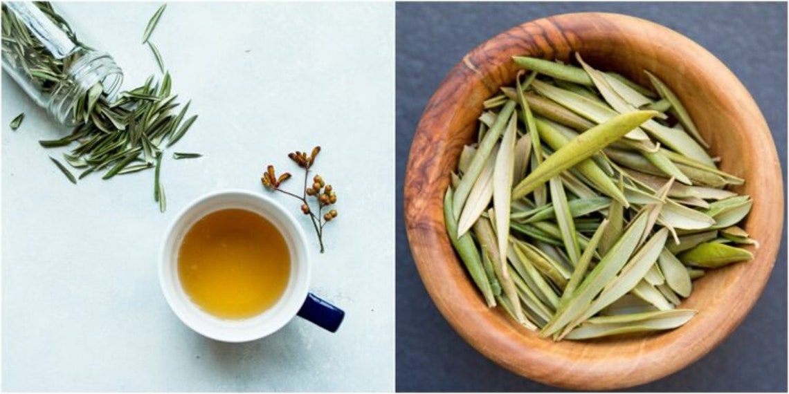 Té de hoja de olivo seco orgánico hoja de olivo de mi jardín Etsy