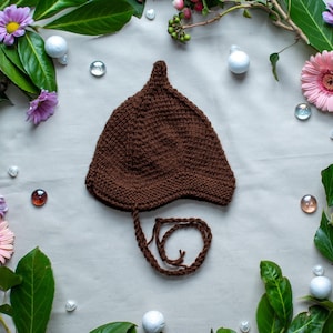 Può includere: Un cappello di lana marrone con la cima a punta e un lungo laccio. Il cappello è circondato da foglie verdi e fiori rosa.