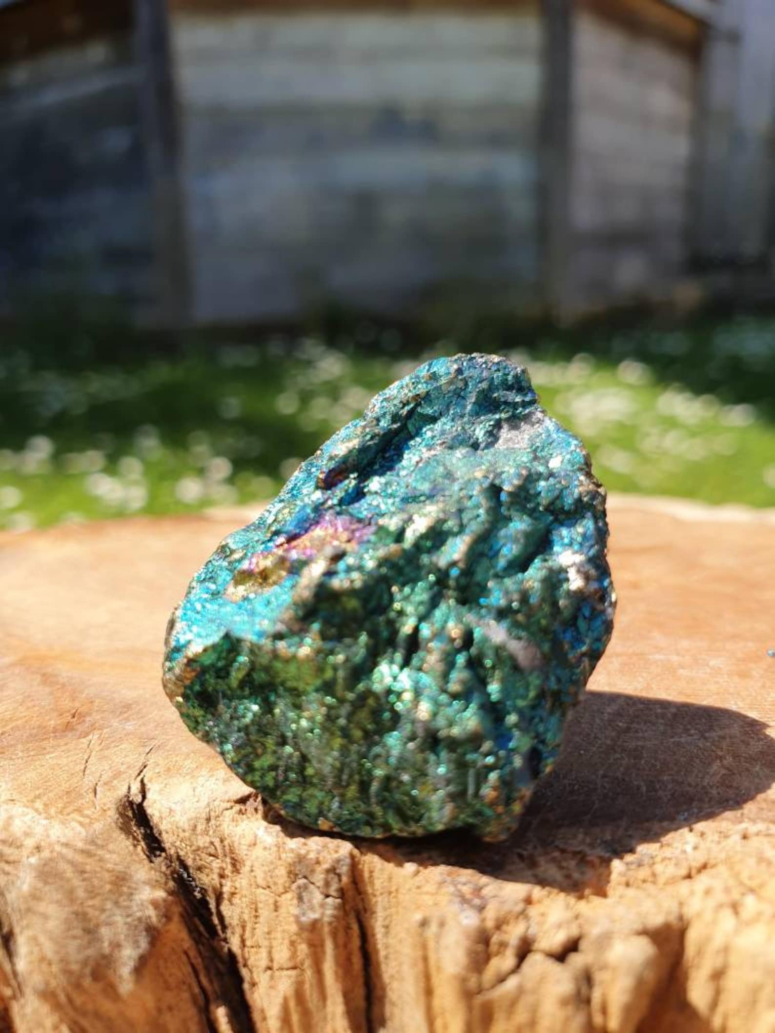 Raw Peacock Ore specimen Etsy