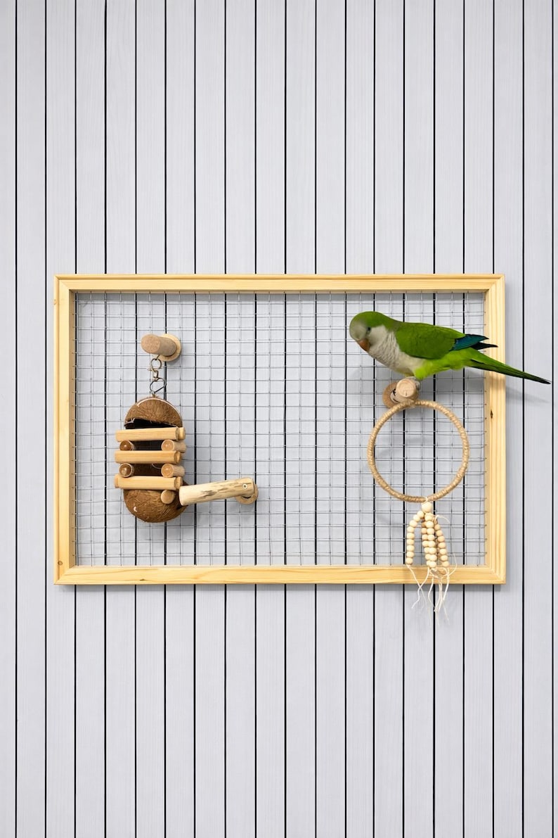 Wooden Wall Parrot Playground, Custom Detachable Perches for Birds - Etsy