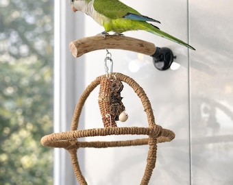 May include: A green and white parrot perched on a wooden perch above a hanging bird toy. The toy is made of woven rope and includes a corn cob and a small wooden ball. The background is a window and a white wall.