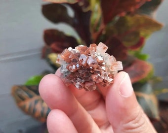 Amazing Aragonite from Morocco, Aragonite Sputnik, Raw Crystals, Raw Stone Cluster, Natural Mineral, Stones