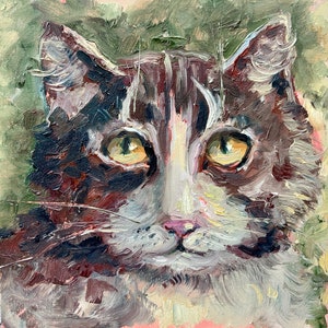 Cat Painting Pet Portrait Artwork Animal Original Art 10x10 Impasto Oil Painting Kitten Painting Gray Cat Painting by TheArtOfImpression