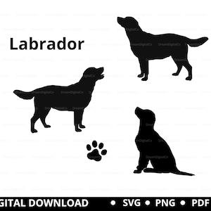 Labrador hond Svg, labrador retriever Svg, Paw SVG, labrador silhouet, zwarte labrador hond sticker, labrador clipart, gesneden bestand, SVG, png