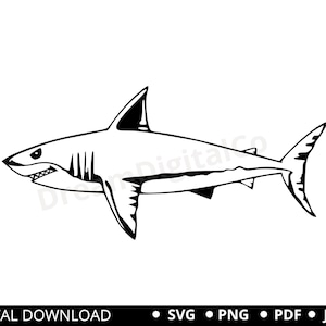Shark SVG PNG Shark Clipart Great White Shark Silhouette Cut File Shark Clip Art Instant Download