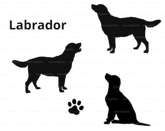 Labrador Dog Svg, Labrador Retriever Svg, Paw SVG, Labrador Silhouette, Black Labrador Dog Decal, Labrador clipart, Cut file, SVG, PNG