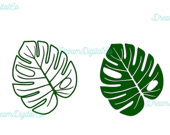 Monstera Blatt SVG, tropisches Blatt geschnitten Datei für Cricut Silhouette, tropische Party Clipart, tropische Blätter PNG sofortiger Download