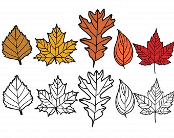 Fall leaves SVG, Autumn Leaves, Layered Leaf, Fall Leaf, leaf clipart Bundle, fall leaf pattern, autumn svg fall SVG PNG, Cut, layered files