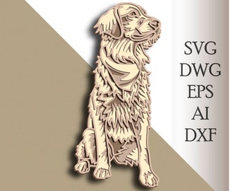 Download Mandala Kitchen Svg Etsy