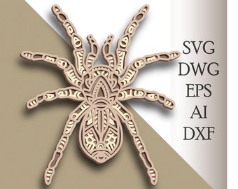 Download Spider Mandala Svg Etsy
