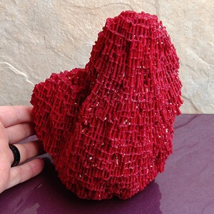 May include: A large, red coral sculpture with a textured, net-like surface. The coral is shaped like a mound or a small hill.