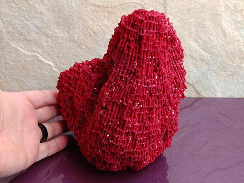 May include: A large, red coral sculpture with a textured, net-like surface. The coral is shaped like a mound or a small hill.