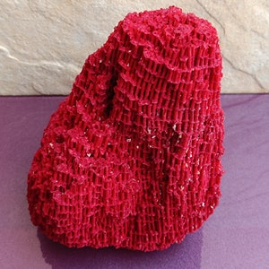 May include: A large, bright red coral specimen with a textured, porous surface. The coral is shaped like a rock and has a natural, organic appearance.
