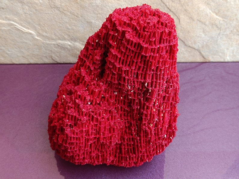 May include: A large, bright red coral specimen with a textured, porous surface. The coral is shaped like a rock and has a natural, organic appearance.