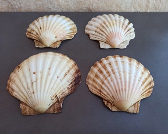 il_340x270.3636786054_n5ul.jpg