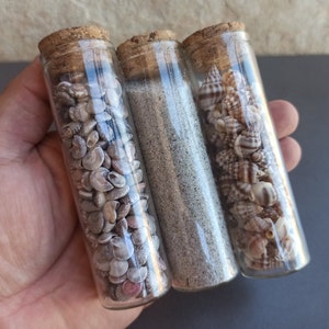 Brust Talisman mit Muschel & Sand Wunsch Flaschen, Metaphysic Home Decor