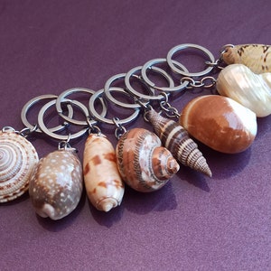 Set Of 8 Key Chains Made From Different Shells, Shell Key Chain, Beautiful Keychain Made Of Shells