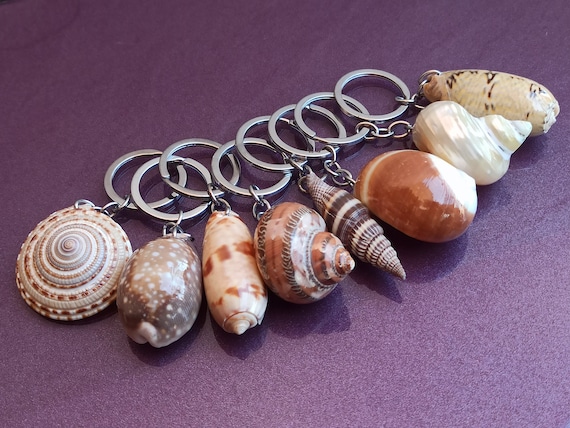 シェルキーホルダーセット：コースタルチャームキーホルダー、8個