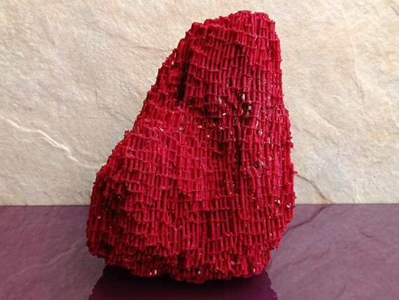 Large Red Coral Tree: Natural Oceanic Coral Reef Decor (14x17x11 cm)