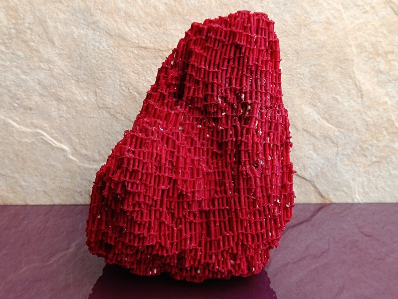 May include: A bright red coral specimen with a textured, net-like surface. The coral is shaped like a small mountain.