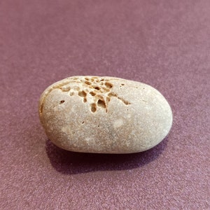 Rare Spider Stone, Wishing Stone, Irish Hag Stone, Bladder Stones ...