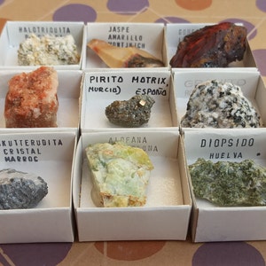 Può includere: Una collezione di nove campioni minerali in piccole scatole bianche con etichette. I minerali includono halotrichite, diaspro, goethite, pirite, granito, skutterudite, alfano e diopside. Le etichette includono il nome del minerale, la posizione e, a volte, una descrizione.