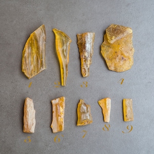 Op de afbeelding: Negen stukken barnsteen, sommige met een ruwe textuur en andere met een glad oppervlak, zijn gerangschikt op een grijze achtergrond. De barnsteenstukken zijn in verschillende vormen en maten, variërend van klein en dun tot groot en dik.