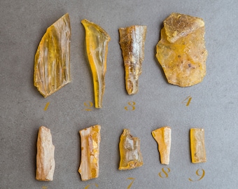 May include: Nine pieces of amber, some with a rough texture and others with a smooth surface, are arranged on a gray background. The amber pieces are various shapes and sizes, ranging from small and thin to large and thick.